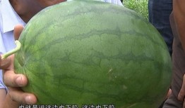 博子吃瓜,揭秘娱乐圈背后的那些事儿