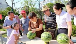 吃瓜的季节怎样挑熟瓜呢